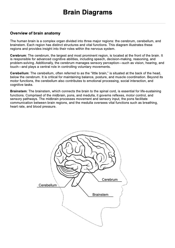 Brain Diagrams PDF Example