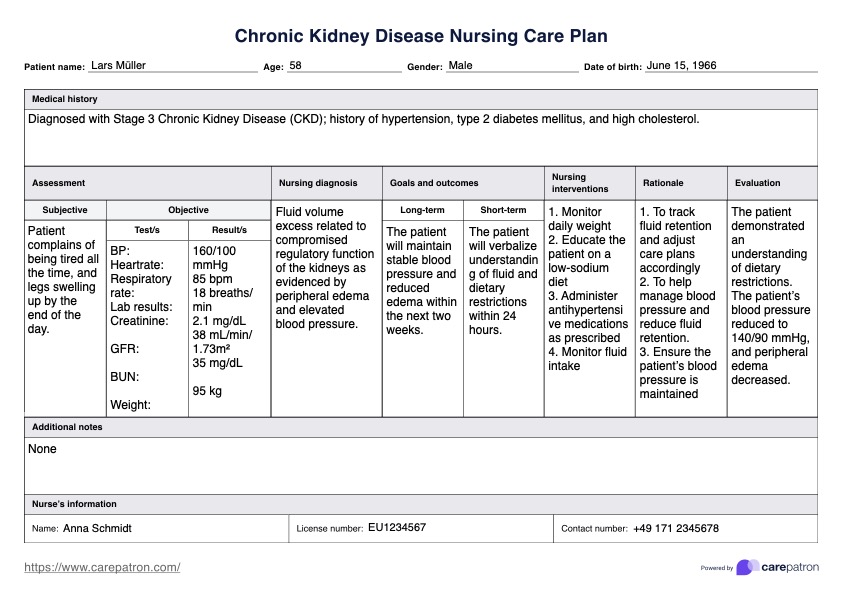 Pflegeplan für chronische Nierenerkrankungen PDF Example