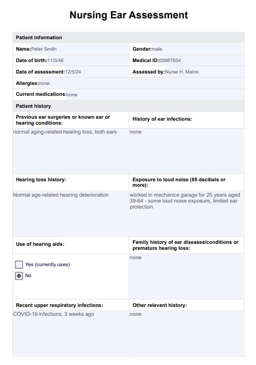 Nursing Ear Assessment PDF Example