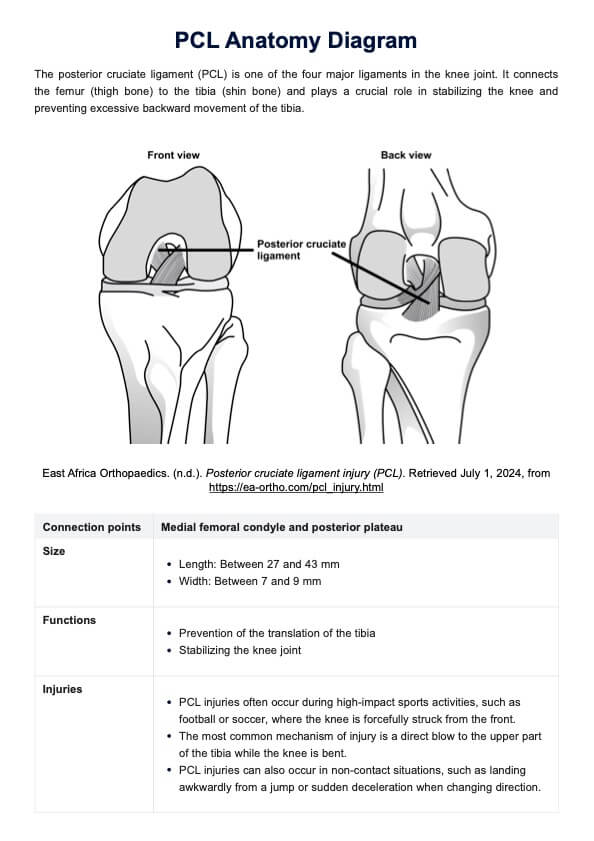 Diagrama de anatomía del LCP (PCL) PDF Example
