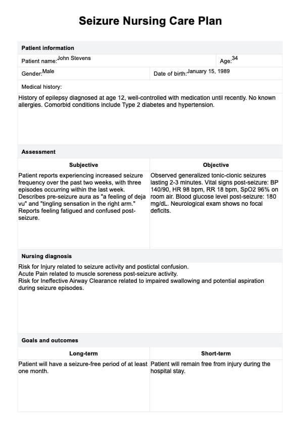 발작 간호 계획 PDF Example