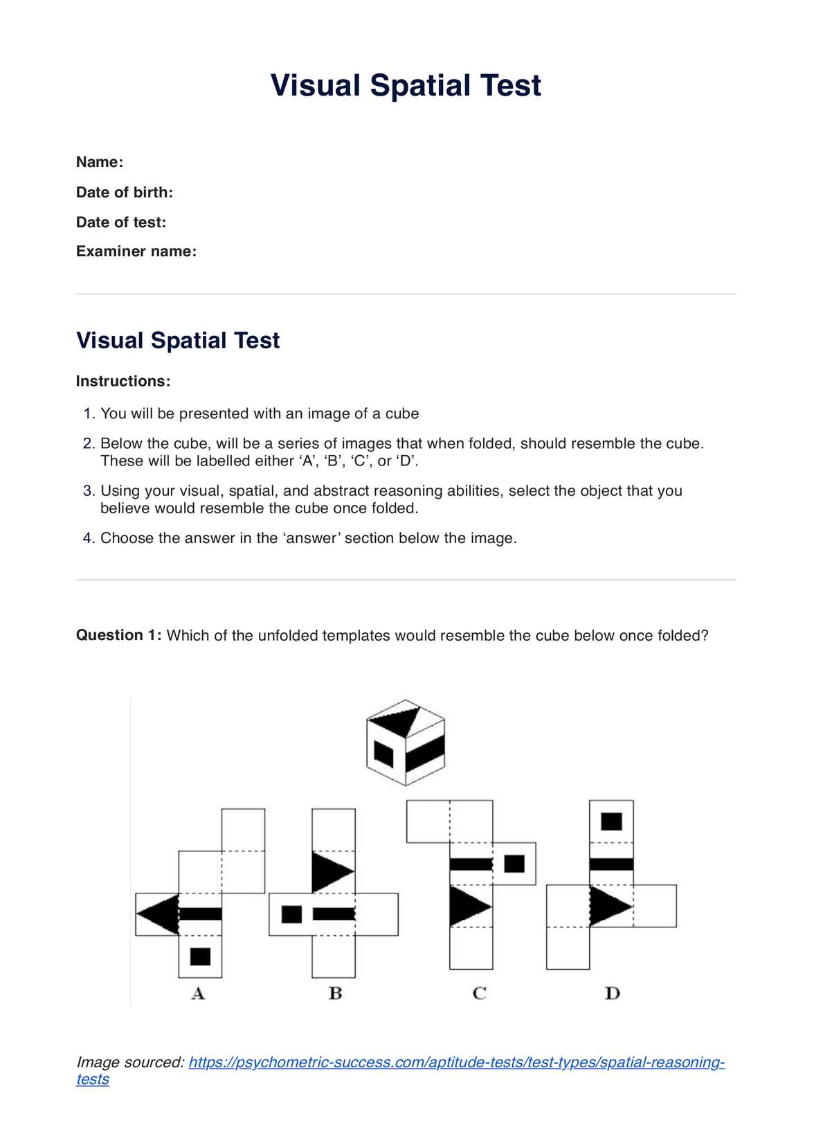 Visual Spatial Test PDF Example